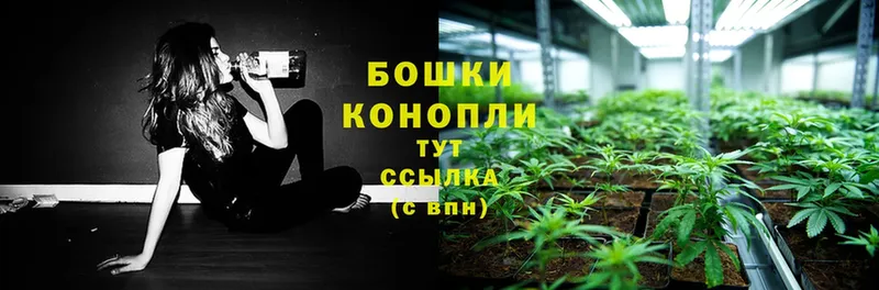 МАРИХУАНА SATIVA & INDICA  Лабинск 